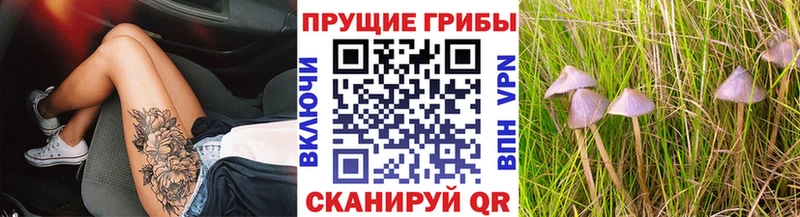 купить   Козьмодемьянск  kraken ONION  Псилоцибиновые грибы Cubensis 